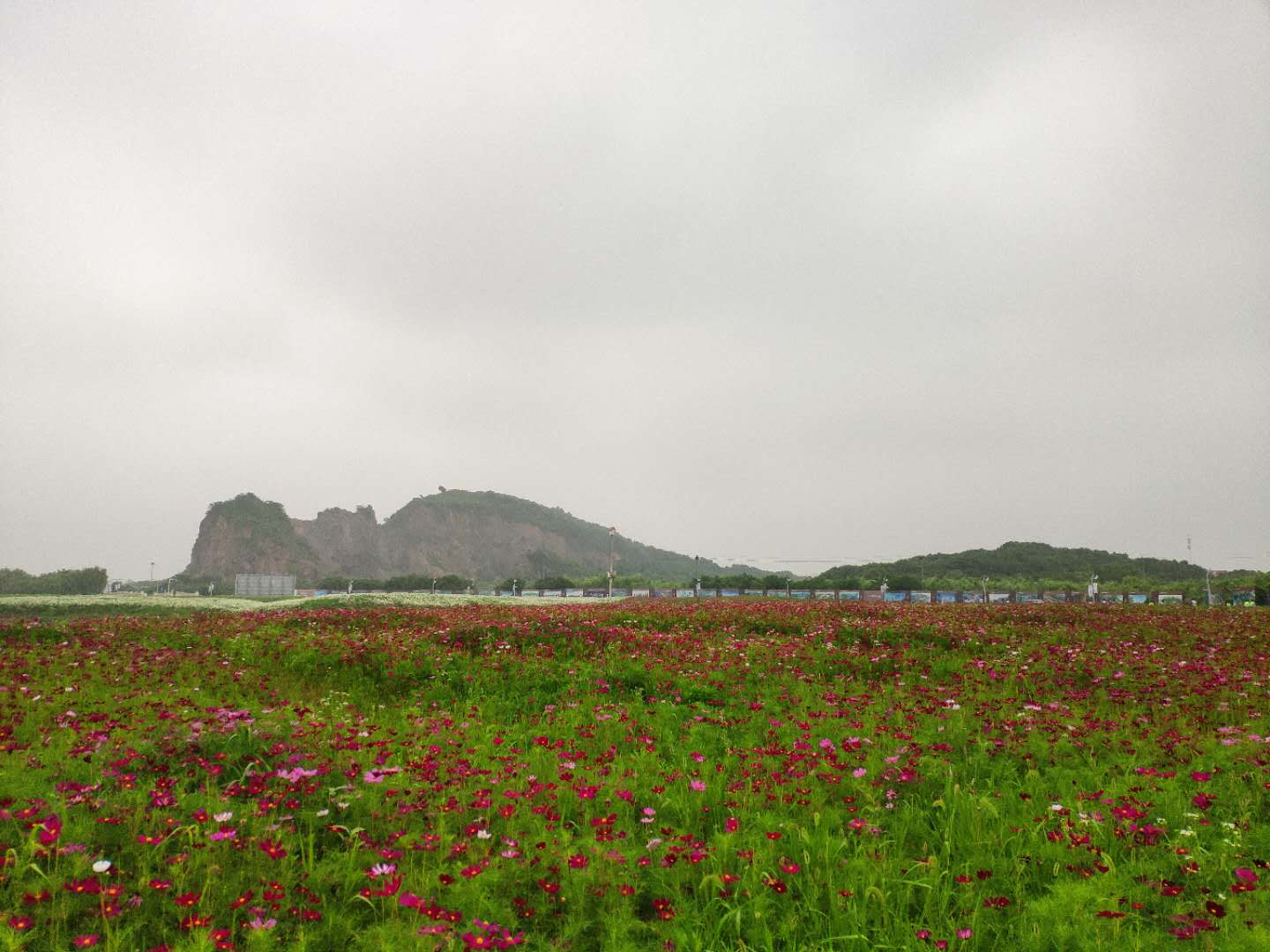 沿途風(fēng)景